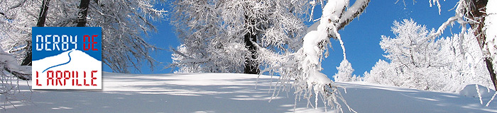 Mélèzes sous la neige