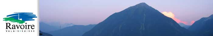 Le catogne