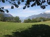 marche3